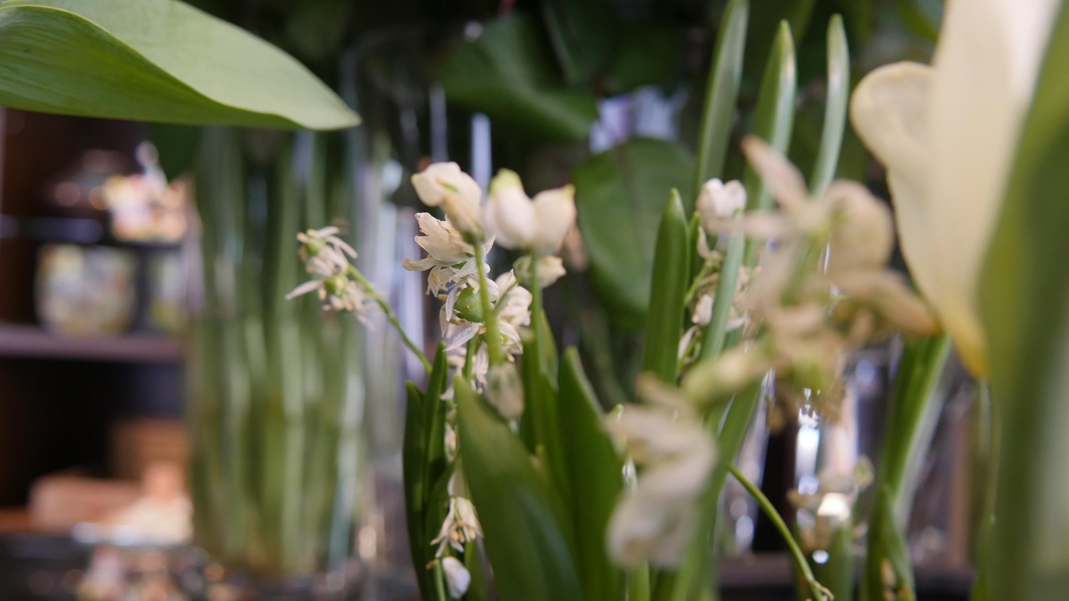 BLUMEN / EVENT / DEKORATION – Ihr Blumen-Stylist aus Kronberg im Taunus