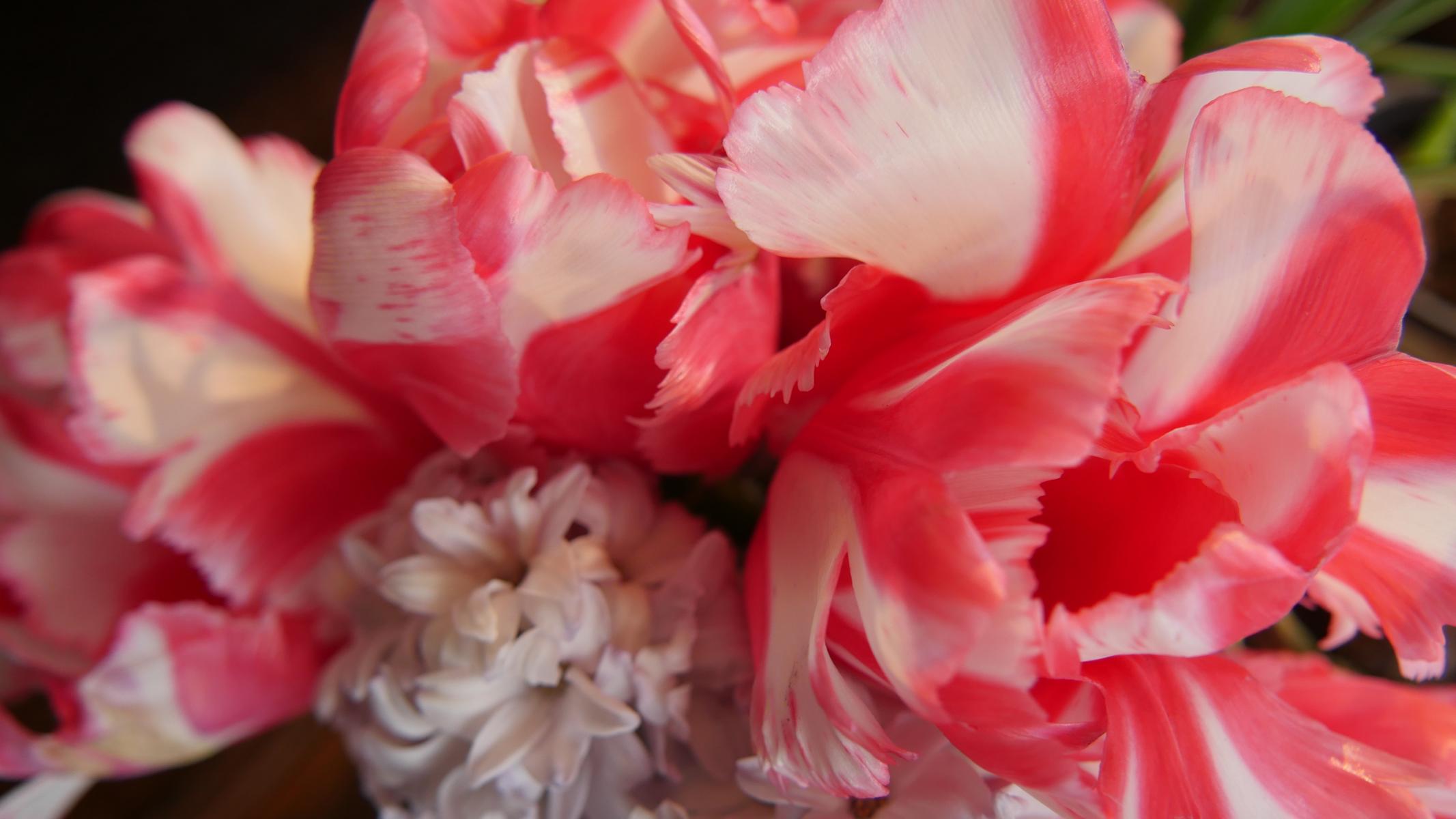 BLUMEN / EVENT / DEKORATION – Ihr Blumen-Stylist aus Kronberg im Taunus